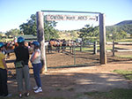 PICT1535.jpg