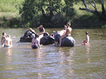 PICT1559.jpg