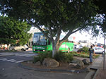 PICT1632.jpg