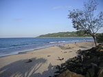 Photos