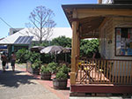 PICT1675.jpg