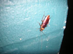PICT1803.jpg