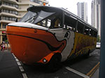PICT1858.jpg