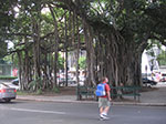 PICT2045.jpg