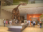 PICT2203.jpg
