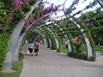 PICT2255.jpg