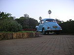 PICT2339.jpg