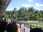 PICT2365.jpg