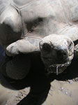 PICT2375.jpg