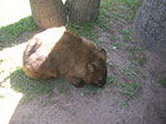 PICT2411.jpg