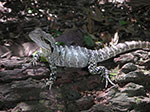 PICT2422.jpg