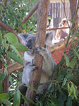 PICT2432.jpg