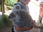 PICT2435.jpg