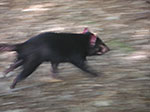 PICT2453.jpg