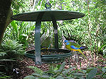 PICT2473.jpg