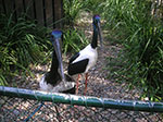 PICT2502.jpg