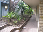 PICT2579.jpg