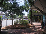 PICT2586.jpg