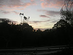 PICT2645.jpg