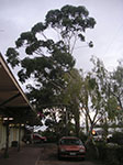 PICT2647.jpg