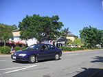 PICT2666.jpg