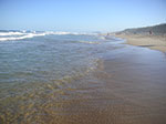 PICT2711.jpg