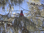 PICT2767.jpg