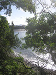 PICT2774.jpg