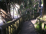 PICT2776.jpg