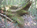 PICT2790.jpg