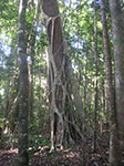 PICT2792.jpg