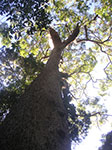 PICT2795.jpg