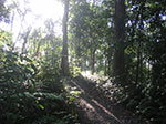 PICT2796.jpg