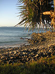 PICT2942.jpg