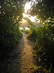 PICT2952.jpg