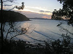 PICT2975.jpg