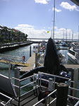 PICT3073.jpg
