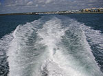 PICT3082.jpg