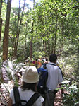 PICT3103.jpg