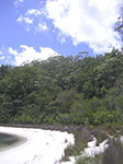 PICT3106.jpg