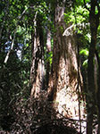 PICT3115.jpg