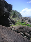 PICT3306.jpg