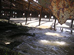 PICT3372.jpg