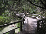 PICT3394.jpg