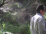 PICT3406.jpg
