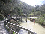 PICT3411.jpg