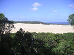 PICT3429.jpg