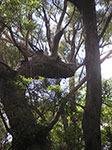PICT3448.jpg