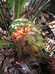 PICT3451.jpg