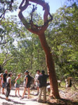 PICT3455.jpg